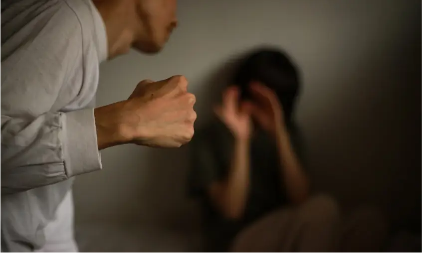 Casos de Violencia Doméstica